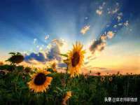 山东沐泽商贸有限公司