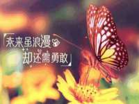 山东沐泽商贸有限公司