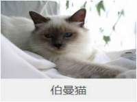 山东沐泽商贸有限公司