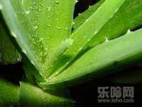 山东沐泽商贸有限公司
