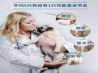 山东沐泽商贸有限公司