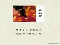 山东沐泽商贸有限公司