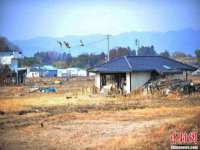 山东沐泽商贸有限公司