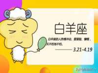 山东沐泽商贸有限公司
