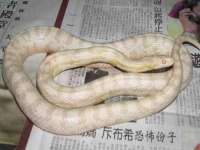 山东沐泽商贸有限公司